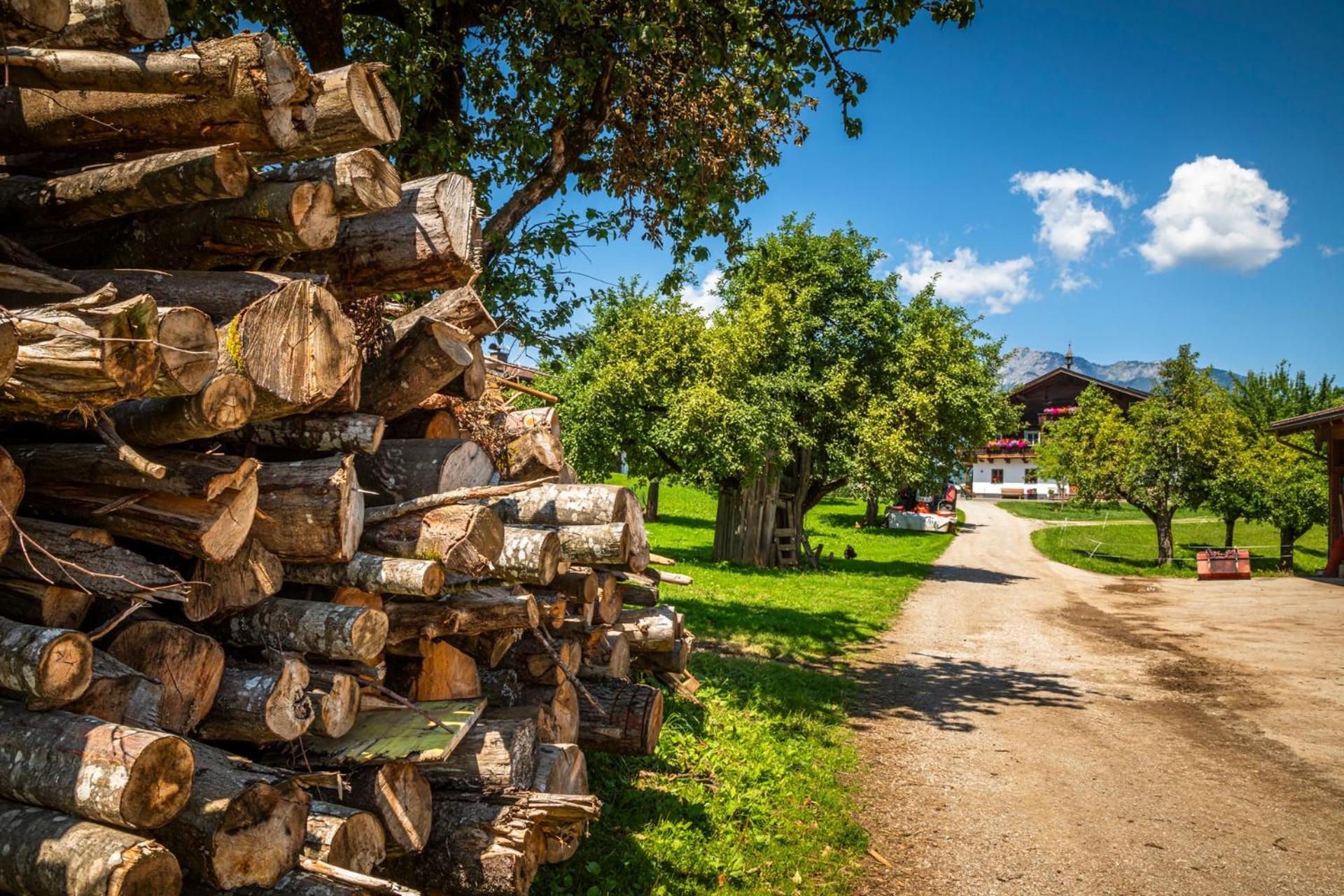 Stillinghof Saalfelden Exterior foto