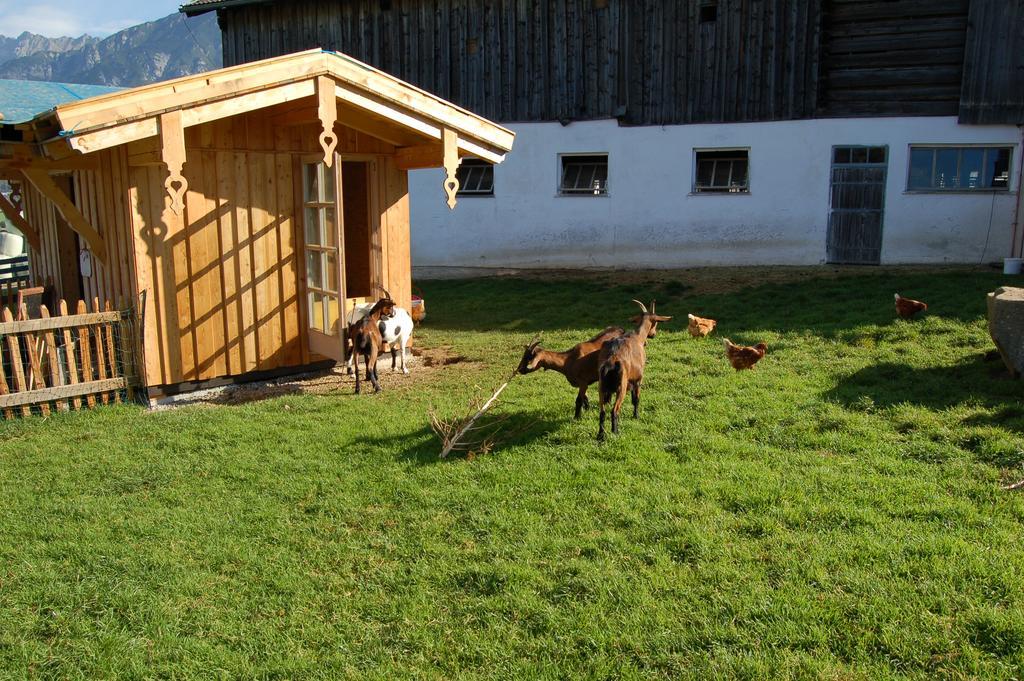 Stillinghof Saalfelden Exterior foto